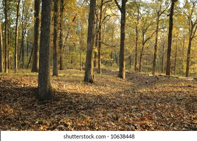 Etowah Indian Mounds