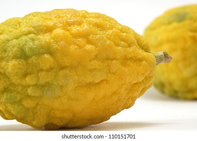 The Etrog - Citron ,makro In Studio Liht