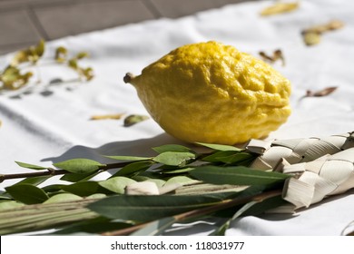 Etrog on white tablecloth with lulav for Sukkot