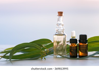 Eucalyptus Aromatherapy Essential Oils In Bottles