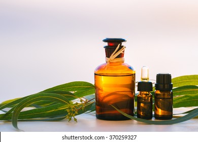 Eucalyptus Aromatherapy Essential Oils In Bottles