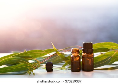 Eucalyptus Aromatherapy Essential Oils In Bottles