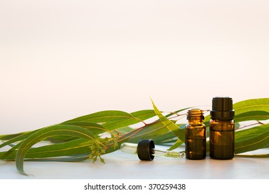 Eucalyptus Aromatherapy Essential Oils In Bottles