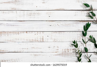 Eucalyptus branches and leaves on wooden rustic white background. Minimal background eucalyptus on white board. Flat lay, top view, copy space - Powered by Shutterstock