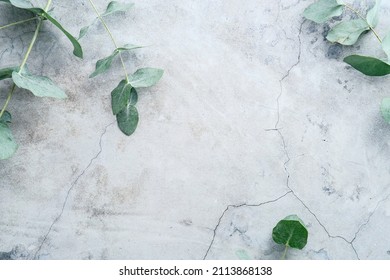 Eucalyptus branches on stone surface. Flat lay, top view, overhead. - Shutterstock ID 2113868138