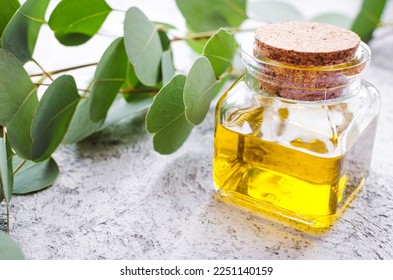 Eucalyptus essential oils in glass bottle - Shutterstock ID 2251140159