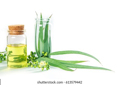 Eucalyptus Essential Oils In Glass Bottle ,organic Herbal Aromatherapy Concept