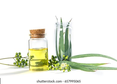 Eucalyptus Essential Oils In Glass Bottle ,organic Herbal Aromatherapy Concept