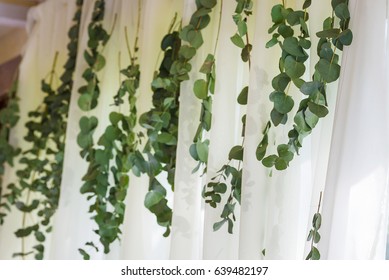 Eucalyptus Garland On White Organza Background