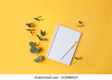 Eucalyptus leaves and a notebook with a pencil on a yellow background. Top view. Flat lay. Place for text, copy space.