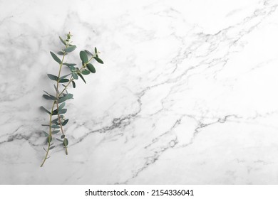 Eucalyptus leaves on grey marble background. Frame made of eucalyptus branches. Flat lay, top view, copy space, minimal composition