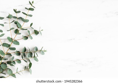 Eucalyptus leaves on marble background. Frame made of eucalyptus branches. Flat lay, top view - Shutterstock ID 1945282366