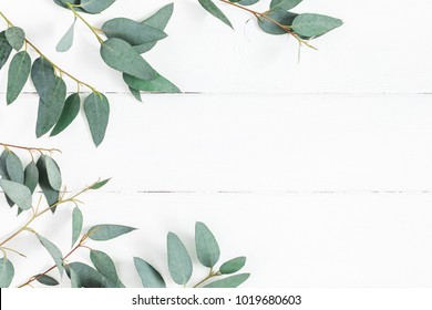 Eucalyptus leaves on white background. Frame made of eucalyptus branches. Flat lay, top view, copy space
