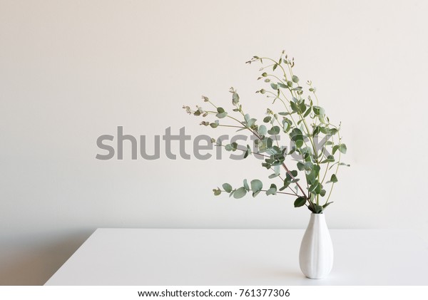 Eukalyptus-Blätter in kleiner weißer Vase auf : Stockfoto (Jetzt ...
