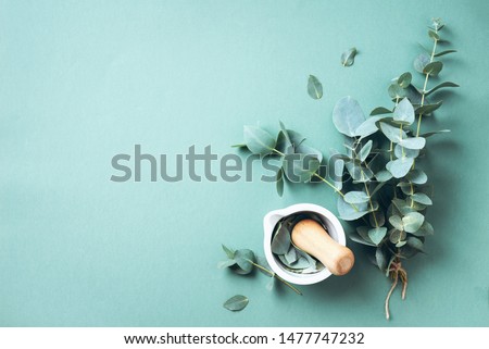 Eucalyptus leaves and white mortar, pestle. Ingredients for alternative medicine and natural cosmetics. Beauty, spa concept