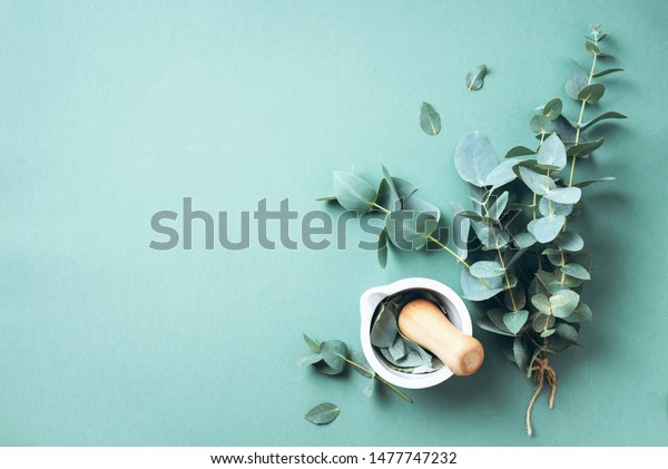 Eucalyptus leaves and white mortar, pestle.\
Ingredients for alternative medicine and natural cosmetics. Beauty,\
spa concept