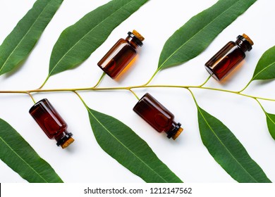 Eucalyptus Oil Bottle With Eucalyptus Branch On White Background