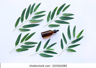 Eucalyptus Oil Bottle With  Leaves On White Background.