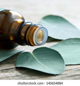 Eucalyptus Oil And Eucalyptus Leaves