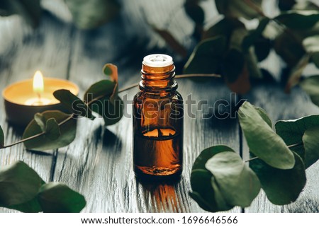 Eucalyptus oil and eucalyptus leaves. Organic eucalyptus oil from Australian eucalyptus bush 
