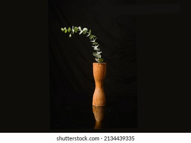 Eucalyptus Round Leaves Ion Vase On Black Background 