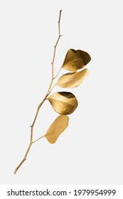 Eucalyptus Round Leaves Painted In Gold On An Off White Background