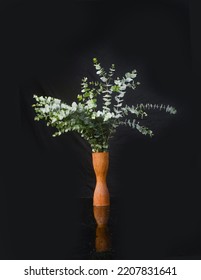 Eucalyptus Round Leaves In Wooden Vase On Black Background