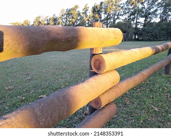 Eucalyptus Tree Trunks Arranged To Fence The Country House, Illuminated With Yellow Sunset Sunlight, Form A Beautiful Natural Pattern With Trees In The Background