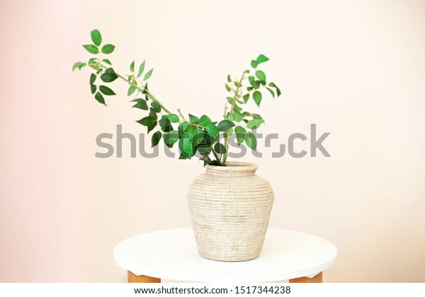 Eucalyptus Twigs Fresh Leaves Vases On Stock Photo Edit Now