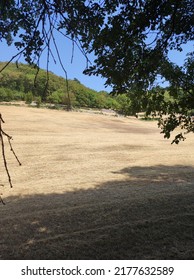 Euganean Hills Field During Summer