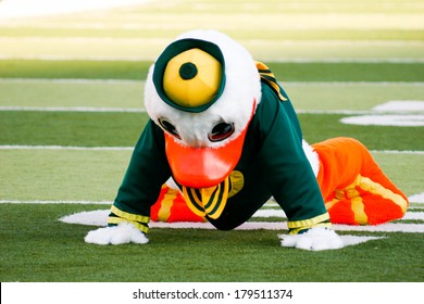 EUGENE, OR - OCTOBER 28, 2006: Oregon Duck Mascot Puddles Doing Pushups After Each Score During The UO Vs PSU Football Game At Autzen Stadium.