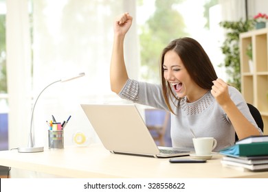 Euphoric winner watching a laptop on a desk winning at home