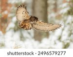 Eurasian eagle-owl (Bubo bubo) in a snowy winter forest