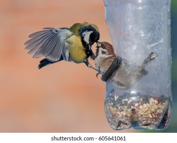 8 Interspecific Conflict Images, Stock Photos & Vectors | Shutterstock