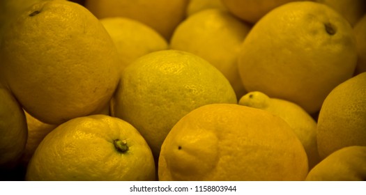 Eureka Lemons Citrus Fruit