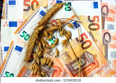 Euro Banknotes, Ears Of Whet And Oat. Money For Farmers, Subsidies For Agriculture. Agricultural Income Concept