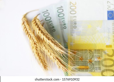 Euro Banknotes, Ears Of Whet And Oat. Money For Farmers, Subsidies For Agriculture. Agricultural Income Concept