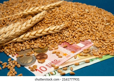 Euro banknotes on wheat kernel background with wheat ears - wheat cost or price concept, export, import, drought in hot countries. Bread shortage. 