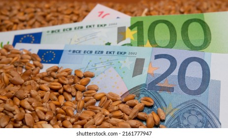 Euro banknotes on wheat kernel background with wheat ears - wheat cost or price concept, export, import, drought in hot countries. Bread shortage. 
