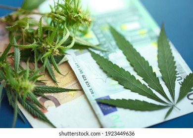Euro bills with a marijuana with copy space. Concept of buy or sell cannabis or drug trafficking. Euro cash and hemp or cannabis