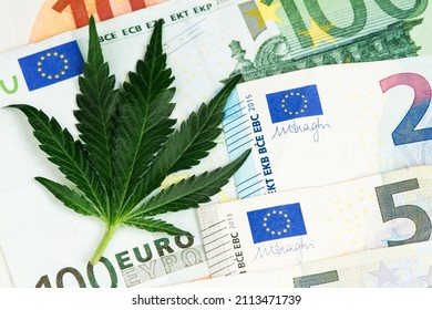 Euro € and Cannabis Medical Marijuana Leaf. Cannabis Medical Marijuana Business Concept. Euro Dollar Marijuana Cannabis Hemp CBD THC Europe Euro Banknotes €