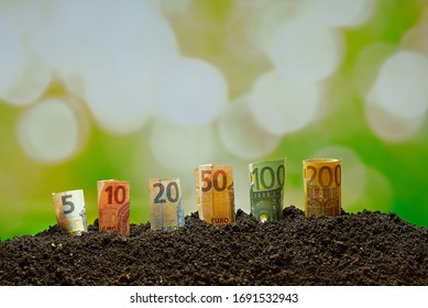 Euro Funds For Agriculture, Euro Bills From 5 To 200 Grow From The Ground. Financing Of Agricultural Expenditure. Concept Of Money