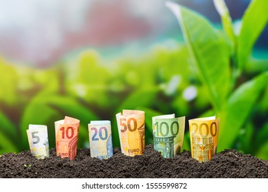 Euro Money. Different Euro Banknotes From 5 To 200 Euro. Money And Agriculture Texture. 