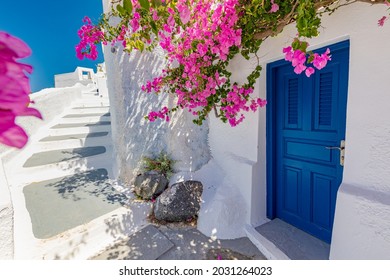 Europe Greece Santorini travel vacation. Looking at scenic view on famous travel destination. Romantic blue door with pink flowers, idyllic nature. Couple honeymoon destination, urban street banner