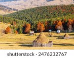 Europe, Romania, Transylvania, Carpathian Mountains.  Bucovina. Rural hay stacks in fields.