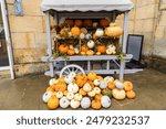 Europe, United Kingdom, England, North Yorkshire, Henderskelfe.  Castle Howard. Pumpkins and gourds.