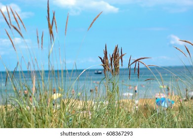 European Beachgrass And The Baltic Sea As Background