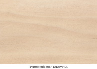 European Beech Texture