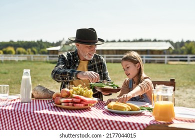 European Farming Family Having Lunch With Fresh Organic Products In Countryside Outdoors. Grandfather Giving Greens And Cheese To Little Granddaughter Who Taking Corn. Modern Farm Lifestyle. Sunny Day