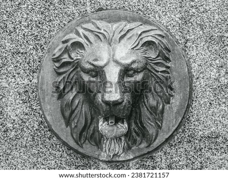 European figure relief metal bronze lion head concept photo. 